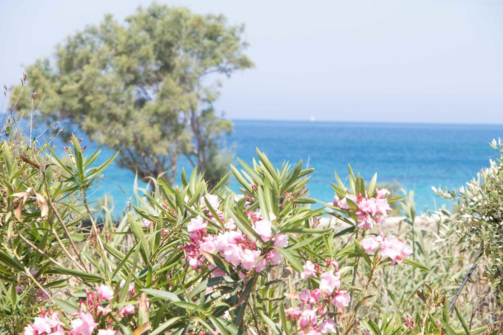 Villa Yialos Antiparos Ngoại thất bức ảnh